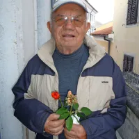  Italo Gregorovič z vrtnicama, običajno in posebno 