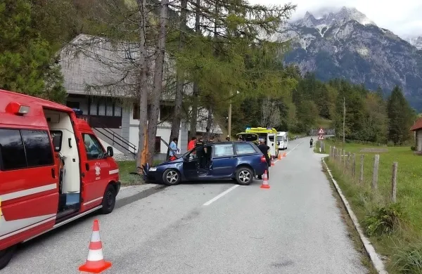 Slovaškega voznika je zaneslo v obcestno drevo. 