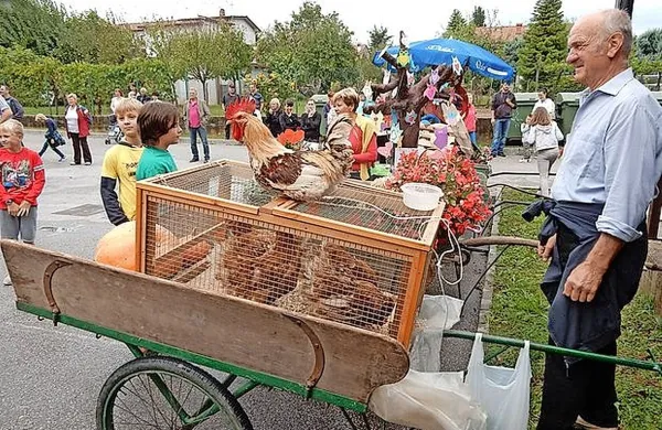 Vrhunec Boreljade je osrednja prireditev s sprevodom borel.