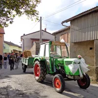 Včasih so šli po nevestino balo z voli in vozom, danes gredo 
z okrašenim traktorjem in prikolico. 