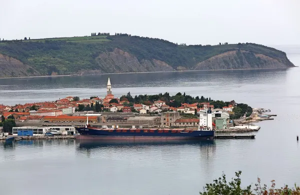 Azijska orhideja čaka na rezervne dele