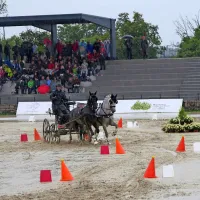 Madžar Martin Hölle je tudi z nekoliko slabše opravljeno 
zadnjo disciplino prepričljivo zmagal v skupnem seštevku.