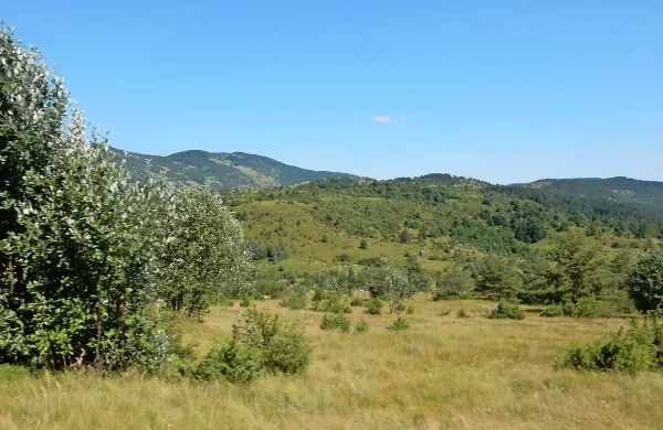 Odločitev sodišča v Pulju je jasna. Nekatera zemljišča, ki so 
bila še nedavno v lasti slovenskih agrarnih skupnosti, so zdaj 
last hrvaških občin.