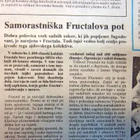 Fructalove sokove so radi pili po vsej Jugoslaviji.