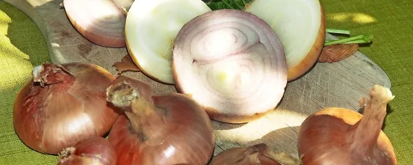 Čebula pomaga lasem, da postanejo bolj bujni. 