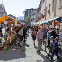 Od Pirana in Kopra vse do Guinnessa?