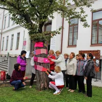 Rožnato drevo pred Čipkarsko šolo v Idriji, podobna so  v 60 slovenskih krajih. 
