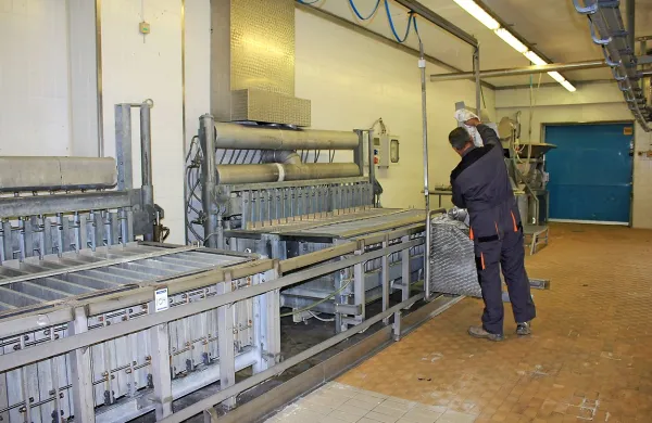 Nekdanje prostore in opremo Mipovega obrata v Kromberku 
te dni čistijo, da bi s prodajo iztržili čim več.