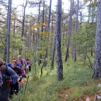 Pohodi Na Krasu je krasno že več kot dvajset let privabljajo 
ljubitelje Krasa in narave.