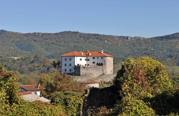 Če bodo Občina Ilirska Bistrica,  Pokrajinski muzej Koper, 
Občina Kastav in puljski arhiv uspešni pri mednarodnem 
projektu Terra gothica, bo bistriška občina na gradu Prem 
lahko uredila gostišče in kuhinjo, muzej pa novo zbirko.  