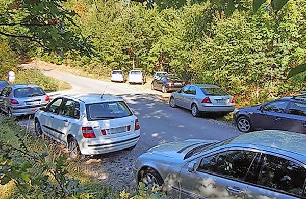 Takšna gneča je bila ob cesti v okolici Artviž pretekli konec 
tedna.