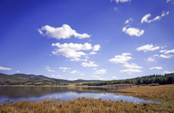 Palško jezero je največje izmed vseh Pivških presihajočih 
jezer.