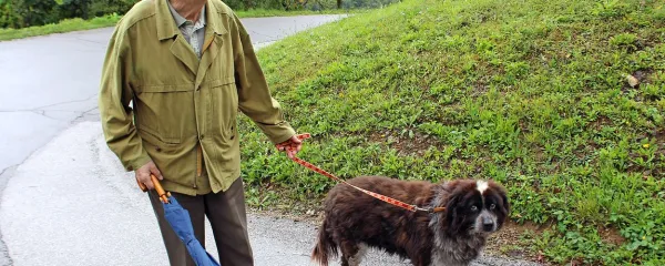 

Mešanka Galaxy je “zadolžena” za Tratnikovo vsakodnevno rekreacijo, on pa za njeno dobro počutje. Tudi zato je 
pri 88 letih še vedno tako čil.