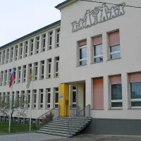 Šolo na Dobrovem so poimenovali po največjem briškem 
pesniku  Alojzu Gradniku. 