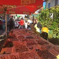 V Rodiku je di&scaron;alo po kostanju in dobrotah na žlico (foto)