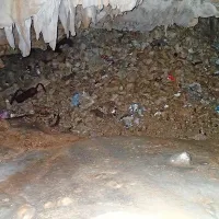Jama je polna smeti, ekološka patrulja pa poziva onesnaževalce, naj smeti očistijo.