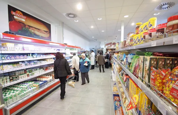 

V SMC so tehtali pravico do svobodne gospodarske pobude 
in pravico do kakovostnega družinskega življenja.