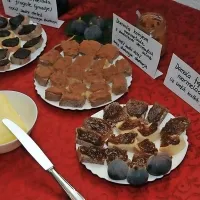 &Scaron;tudenti oblikovali istrski zajtrk