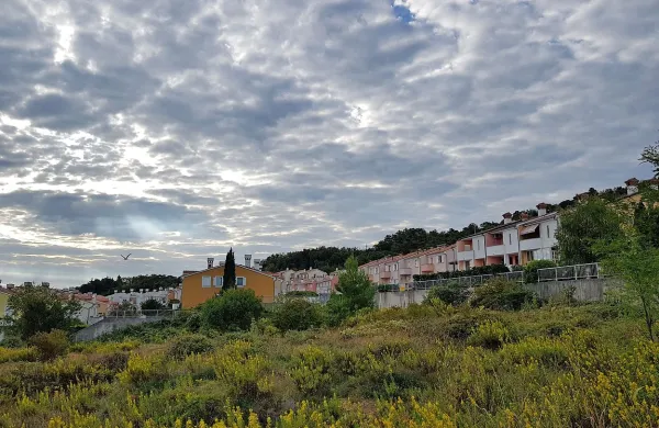 Pretežni del parcel med Šolsko, Sončno, Kozlovičevo in 
Beblerjevo ulico na Markovcu,  tik ob soseski vrstnih hiš in 
Nokturnom, je v lasti propadlega gradbinca Primorja.