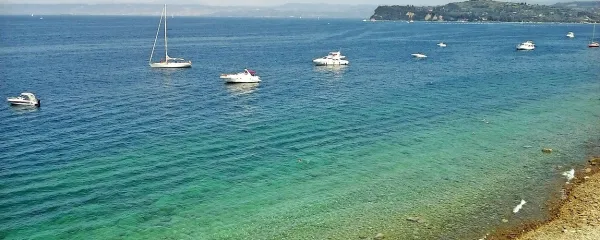 Igralci in sledilci