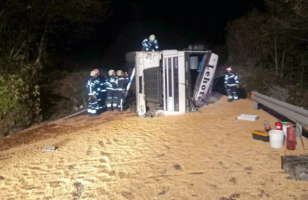 Ob glavni cesti nad Račicami bodo imeli divjad in ptiči v 
prihodnjih tednih pravo pojedino.