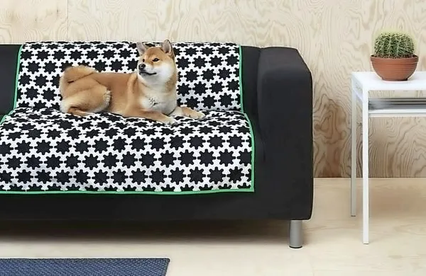 Nova Ikeina linija pohištva, namenjena psom in mačkam