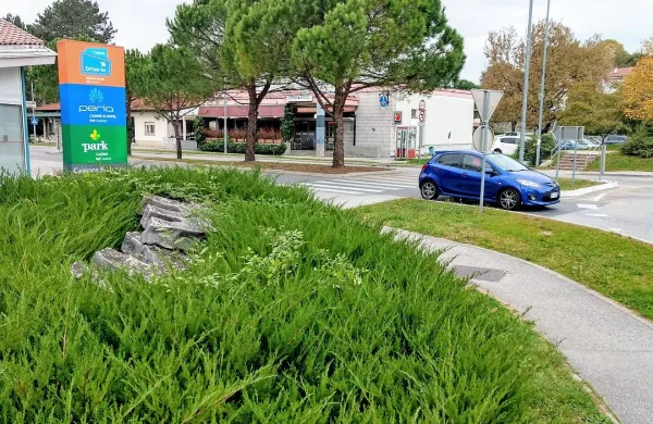 Spomenika skoraj ni več videti