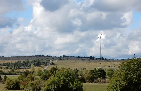 Če bi se uresničili vsi načrti investitorjev v gradnjo vetrnih 
elektrarn na Senožeškem bi bili krajani obkroženi z najmanj 
40 vetrnicami, kakršna je obstoječa v bližini Dolenje vasi.