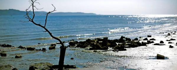 Stranski učinki
