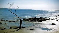 Stranski učinki