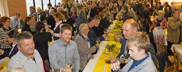 Danes goduje Martin, ki iz mo&scaron;ta dela vin'