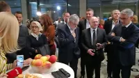 V Pahorjevem volilnem &scaron;tabu pričakujejo zmago