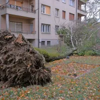 Standardni prizori ob burji
