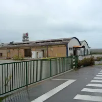V Strunjanu jih je poplavilo za oba kroga volitev (foto)