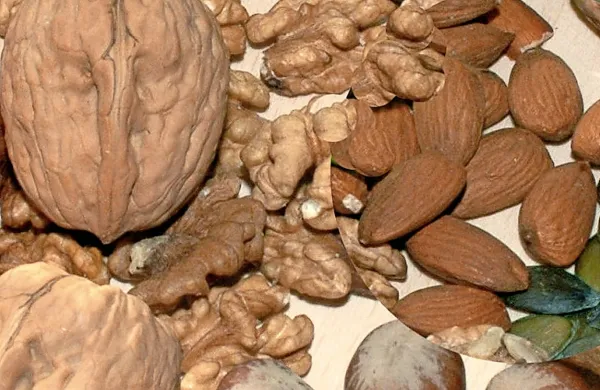 Pri ljudeh, ki vsaj petkrat na teden uživajo različne oreščke, 
obstaja 14 odstotkov manjše tveganje za srčno-žilne bolezni 
in 20 odstotkov manjše tveganje za usodne težave zaradi 
zamašenih žil.