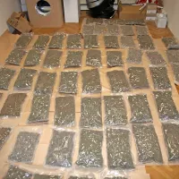 V objektu so našli še 57 vrečk, v katerih je bilo  približno 27 
kilogramov že pripravljene marihuane.
