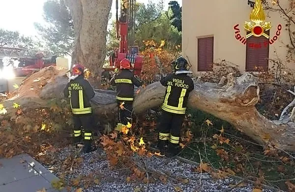 Veja padla na streho konju&scaron;nic