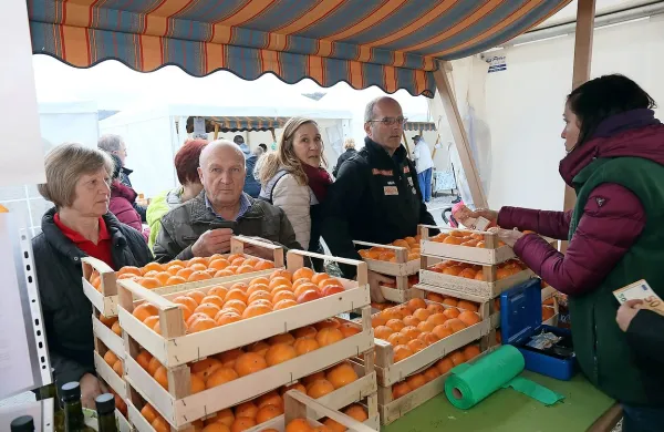 Prodali so 50 do 70 ton kakijev