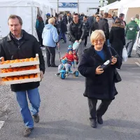 Nekateri vedo, da zdravih kakijev ni nikoli preveč.