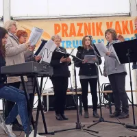 Prodali so 50 do 70 ton kakijev