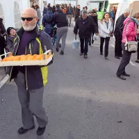 Prodali so 50 do 70 ton kakijev