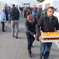 Prodali so 50 do 70 ton kakijev