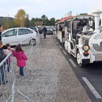 Prodali so 50 do 70 ton kakijev
