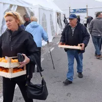 Prodali so 50 do 70 ton kakijev