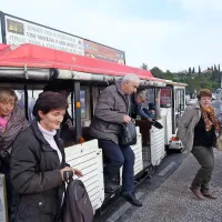 Prodali so 50 do 70 ton kakijev