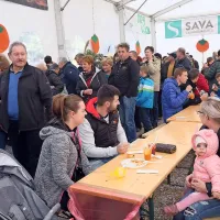 Prodali so 50 do 70 ton kakijev