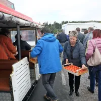 Prodali so 50 do 70 ton kakijev