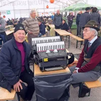 Prodali so 50 do 70 ton kakijev