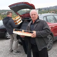 Prodali so 50 do 70 ton kakijev