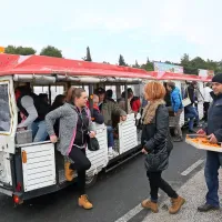 Prodali so 50 do 70 ton kakijev